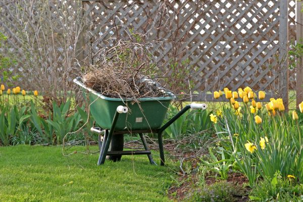 Flower Bed Cleanup Service in Newport Beach