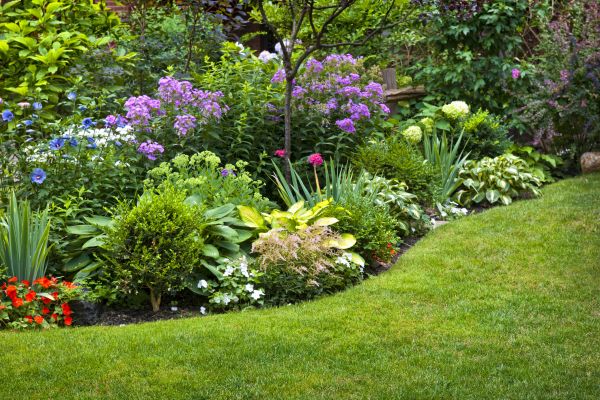 Flower Bed Service in Newport Beach