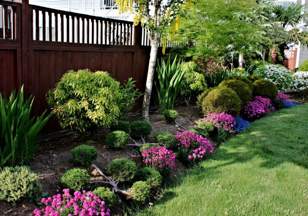 Garden Care Service in Newport Beach