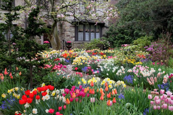 Garden Maintenance Service in Newport Beach