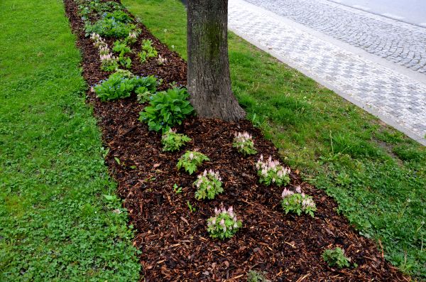 Mulch Replacement Service in Newport Beach