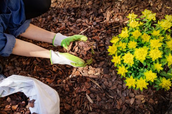 Pine Bark Delivery in Newport Beach