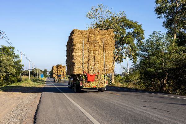 Pine Straw Delivery in Newport Beach
