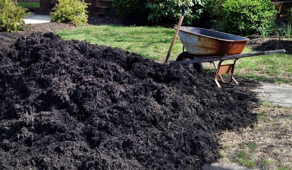 Black Mulch Delivery in Newport Beach