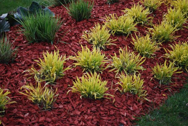 Mulch Landscaping in Newport Beach