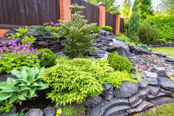 Landscape Remodeling in Newport Beach