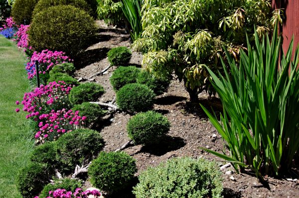 Residential Gardening in Newport Beach