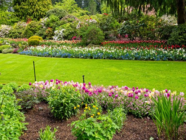 Residential Landscape Design in Newport Beach