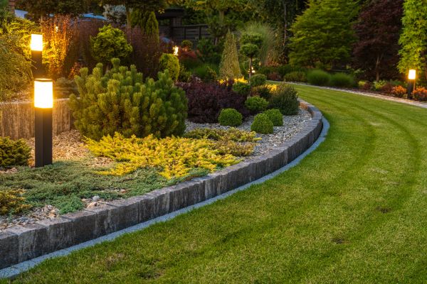 Garden Repair Service in Newport Beach