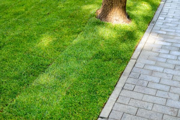 Border Stone Installation in Newport Beach