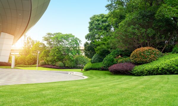 Business Landscape Design in Newport Beach