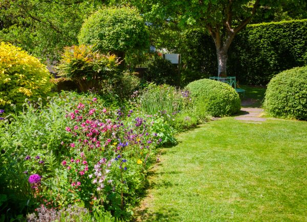 Yard Landscaping Service in Newport Beach