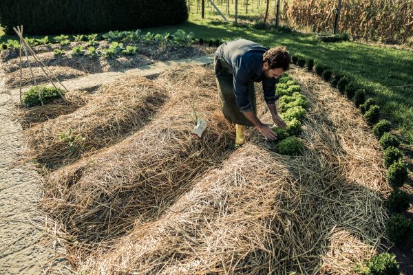 Straw Mulching Service in Newport Beach