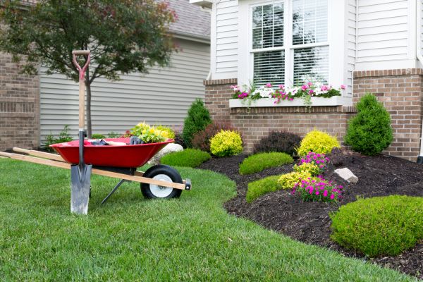 Tree And Shrub Planting in Newport Beach