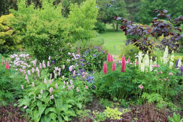 Flower Bed Planting in Newport Beach