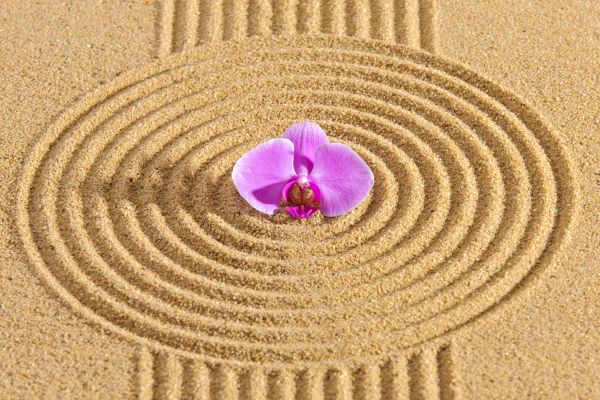 Sand Garden Landscaping in Newport Beach
