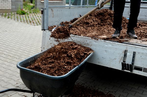 Cypress Mulch Delivery in Newport Beach