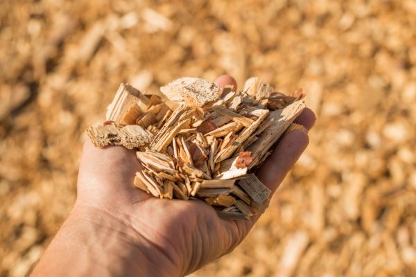 Wood Chips Spreading in Newport Beach