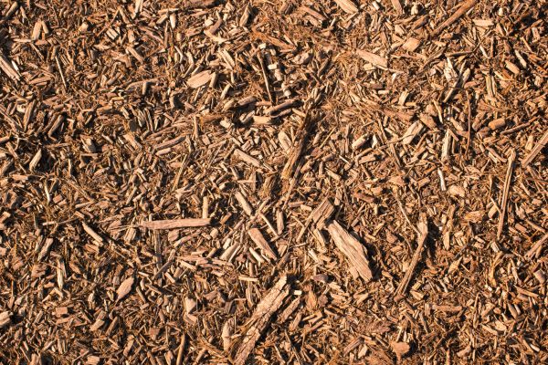Wood Chips Removal in Newport Beach