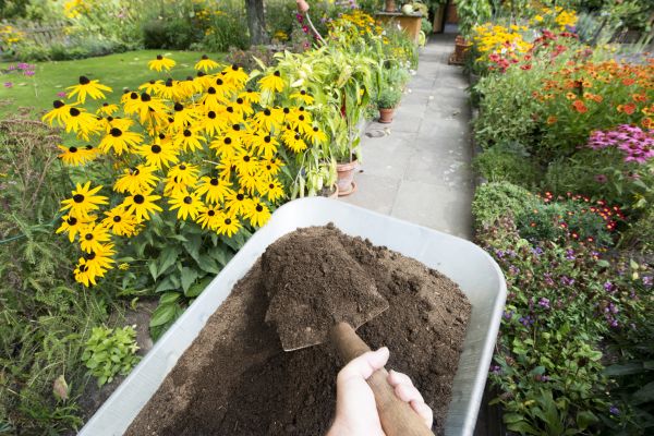 Topsoil Replacement in Newport Beach