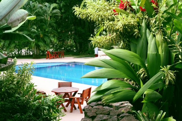 Pool Area Landscaping in Newport Beach