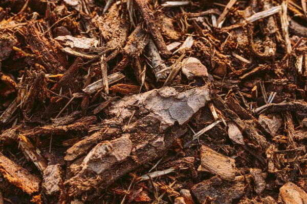 Bark Mulch Delivery in Newport Beach