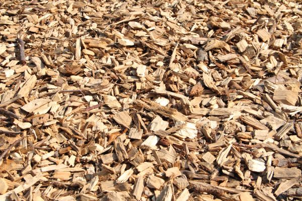 Wood Mulch Delivery in Newport Beach
