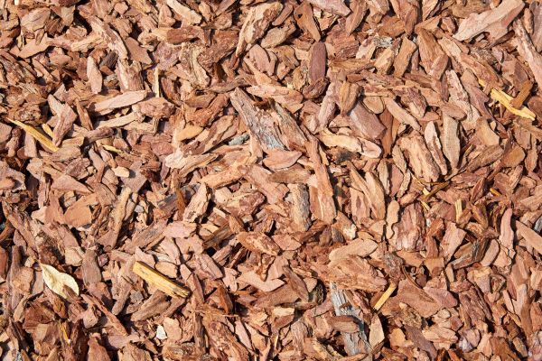 Pine Mulch Spreading in Newport Beach
