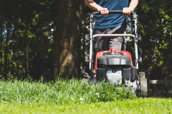 Garden Trimming Service in Newport Beach