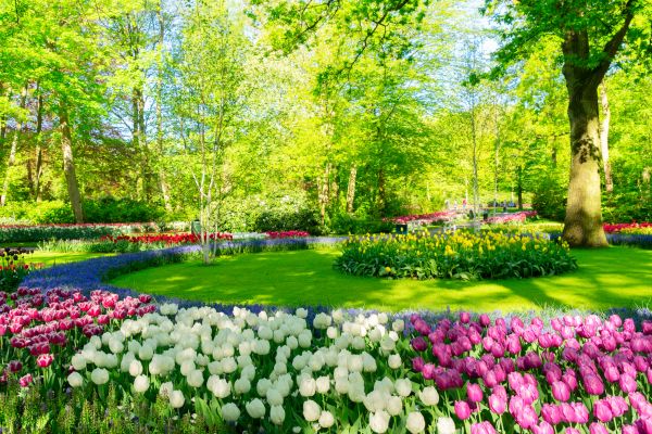 Flower Landscaping in Newport Beach