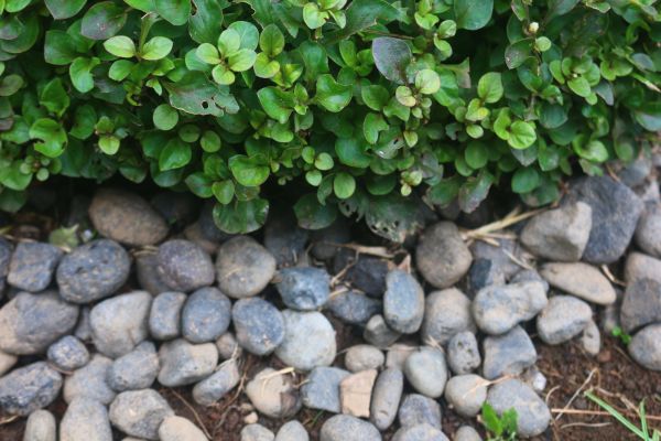 River Stone Installation in Newport Beach