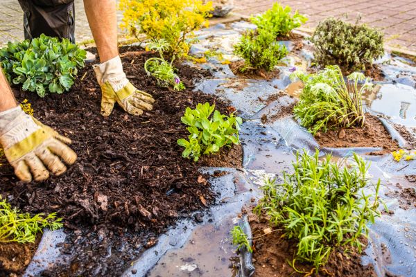 Mulch Fabric Installation in Newport Beach