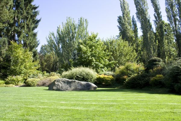 Yard Enlargement in Newport Beach