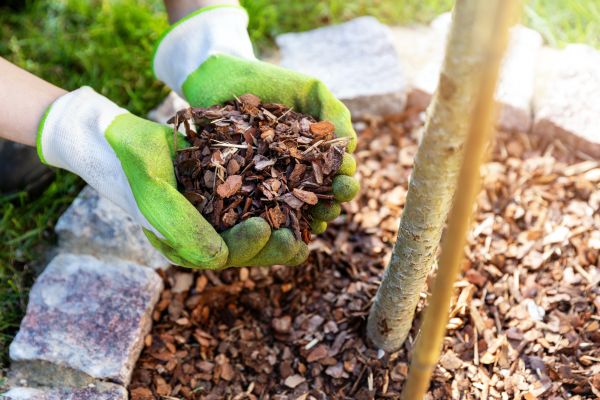 Tree Bark Delivery in Newport Beach