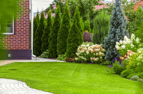 Spring Landscaping in Newport Beach
