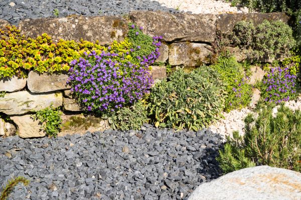 Landscaping Rocks Installation in Newport Beach