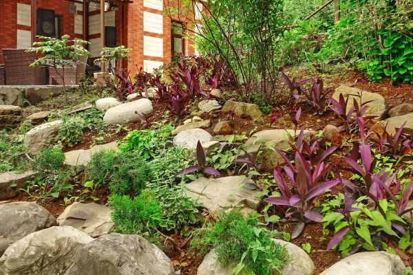 Rock Garden Landscaping in Newport Beach