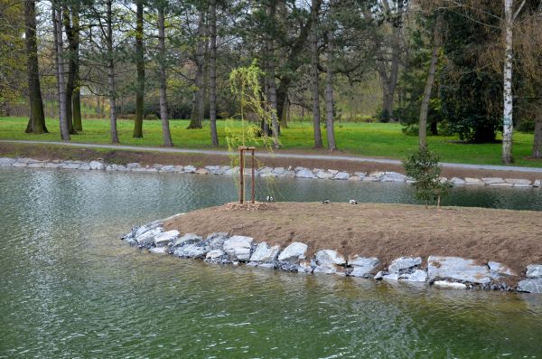 Pond Landscaping Service in Newport Beach