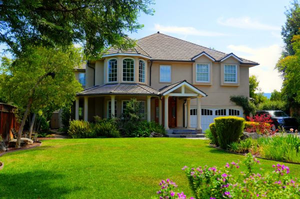 Large Yard Landscaping in Newport Beach
