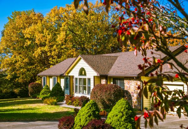 Ranch Landscaping in Newport Beach