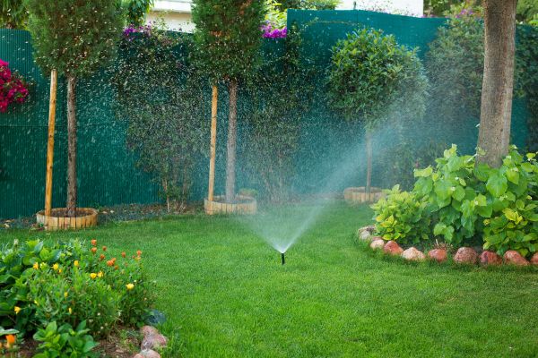 Water Landscaping Service in Newport Beach