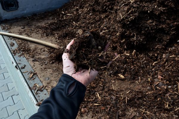 Condo Mulching in Newport Beach