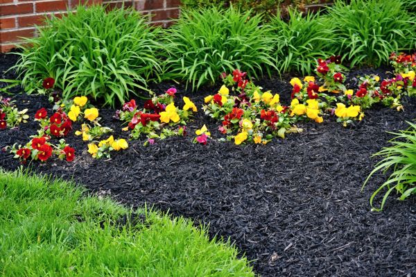 Apartment Mulching in Newport Beach